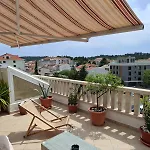 Happy Basset Terrace